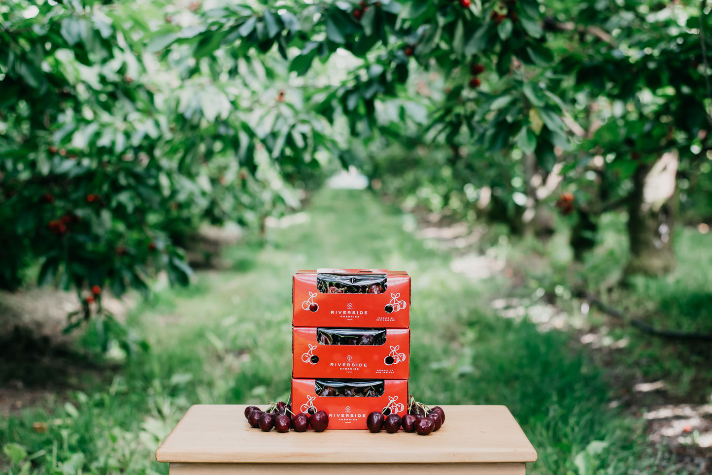 Cherries - Subscription (4 weeks) Sold OUT!